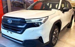 WhatsApp Image 2026-03-18 at 08.33.35 (1)